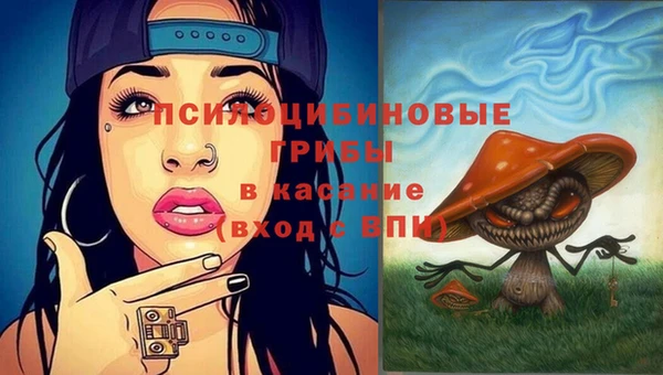 PSILOCYBIN Богданович